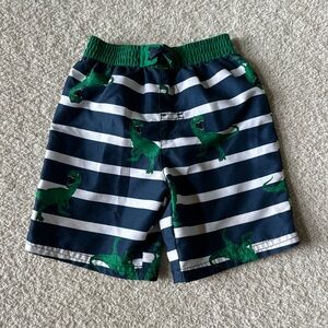 Boys Dinosaur Swimming Trunks